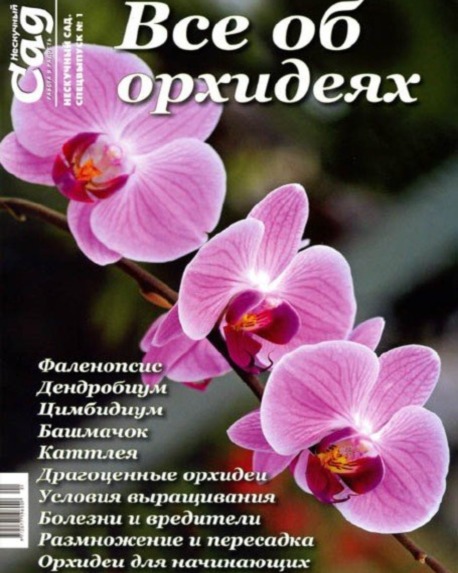 Нескучный сад - Орхидеи