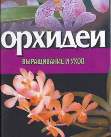 Орхидеи: выращивание и уход